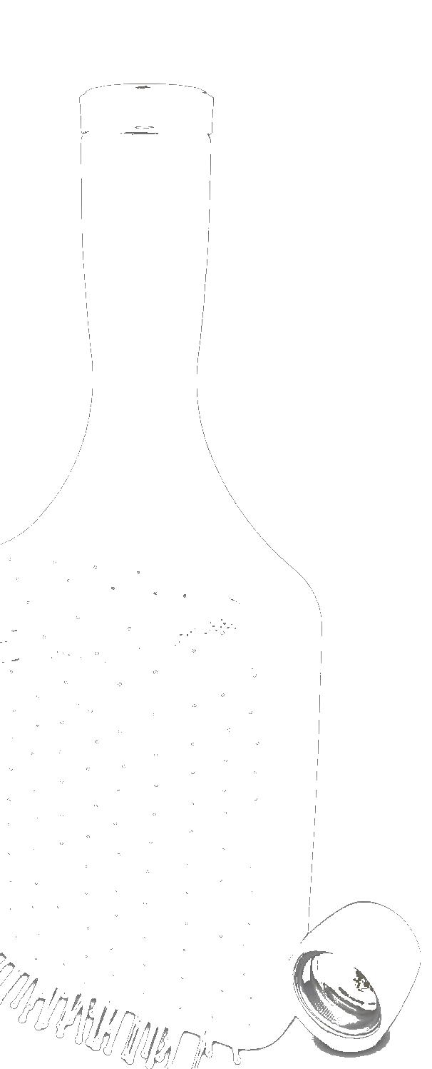 SYB-Brush-1 Haarbürste mit verstecktem Flachmann (170 ml) – hochwertig, auslaufsicher, diskret für Reisen & Events